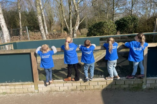 Uitstapjes