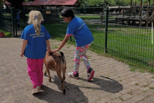 Foto bij Fotoboek Eindhoven Strijp