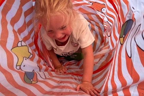 Foto bij Ouder-peutergym 2026